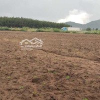 Bán 2,45 Hec (24500M2) Khu Tân Phúc-Hàm Tân-Bình Thuận. Giá Bán 1,6 Tỷ/Ha