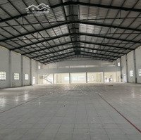 Cho Thuê Xưởng Tp Sa Đécdiện Tích8000M2 Giá 35 Nghìn/M2/Tháng