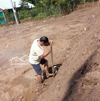 Nền Đẹp Tân Long, Mt, Vĩnh Long