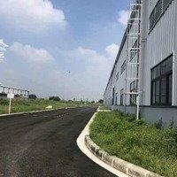 Cho Thuê 10000M2 Kho Xưởng Tại Phúc Lợi, Long Biên