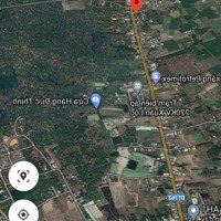 Bán Đất Mặt Tiền Đường Tỉnh Lộ 763, Xã Suối Cát, Xuân Lộc, Đồng Nai