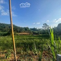 Cần Bán Lô Đất Đẹp Giá Rẻ Nhất Lô Đất Tại Yên Bài, Ba Vì