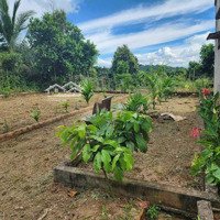 Bán Nhà Vườn Cây Ăn Trái Làm Farmstay Nghỉ Dưỡng Ở Huyện Đắk Đoa Gia Lai