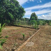 Bán Nhà Vườn Cây Ăn Trái Làm Farmstay Nghỉ Dưỡng Ở Huyện Đắk Đoa Gia Lai