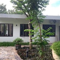 Bán Homestay Tuyệt Đẹp, Đẹp Đến Từng Xăng Ti Mét, Diện Tích 776M2 Tại Thị Xã Sơn Tây Hà Nội