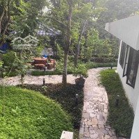 Bán Homestay Tuyệt Đẹp, Đẹp Đến Từng Xăng Ti Mét, Diện Tích 776M2 Tại Thị Xã Sơn Tây Hà Nội