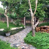 Bán Homestay Tuyệt Đẹp, Đẹp Đến Từng Xăng Ti Mét, Diện Tích 776M2 Tại Thị Xã Sơn Tây Hà Nội