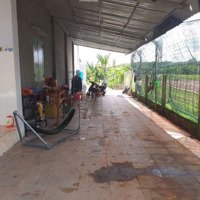 Bán Nhà Shrdiện Tích10X60 Có 50M Thổ Cư Gần Tp Tây Ninh