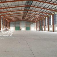 Cho Thuê Kho, Nhà Xưởng 300M2 Đến 3000M2 Kcn Hòa Cầm, Cẩm Lệ, Đà Nẵng