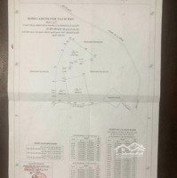 Cần Bán 14 Ha Cây Lâu Năm - Thị Trấn Chợ Lầu - Bắc Bình - Bình Thuận - Giá Rẻ Đầu Tư