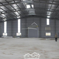 Cho Thuê Kho Xưởng Tại Lai Xá Hoài Đức, Hà Nội. Diện Tích: 800M2, 1500M2, 2000M2, 4500M2