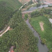 Chính chủ Bán lô đất hơn 9000m2 đối diện Man''s Farm ở hoành bồ - Quảng Ninh