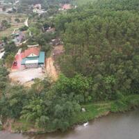 Chính chủ Bán lô đất hơn 9000m2 đối diện Man''s Farm ở hoành bồ - Quảng Ninh