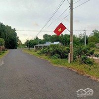 Đất Mặt Tiền Đường Chuông Quýt - Đường Thẳng Chạy Tới Resort Melia Hồ Tràm, Cầu Ngắm Biển
