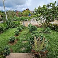 Chính Chủ Cho Thuê Biệt Thự Vườn Sinh Thái Tropicana Garden - Bảo Lộc