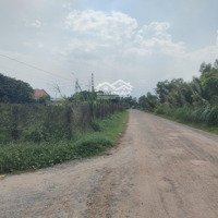 Bán Đất Xã Tân Phú, Đức Hoà, 5X26.5M
