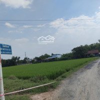Bán Đất Xã Tân Phú, Đức Hoà, 5X26.5M