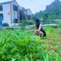 Cần Bán Khuôn Viên Nhà Vườn Đẹp Giá Rẻ Tại Lương Sơn - Hòa Bình
