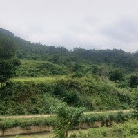 Bán Đất View Hồ Phù Hợp Làm Khu Nghỉ Dưỡng Tại Lương Sơn, Hòa Bình