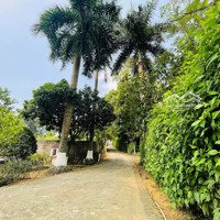 Biệt Thự Nhà Vườn 4000M - Hoà Sơn- Lương Sơn - Nghỉ Dưỡng Tuyệt Vời- Tặng Full Nội Thất - 30Tỷ