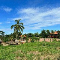 Bán View Nghỉ Dưỡng Suối Quanh Năm, Thích Hợp Làm Farm, Homstay,Diện Tích6100M2 Giá Bán 6.2 Tỷ Dân Cư Đông