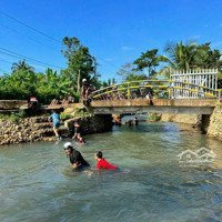 Bán View Nghỉ Dưỡng Suối Quanh Năm, Thích Hợp Làm Farm, Homstay,Diện Tích6100M2 Giá Bán 6.2 Tỷ Dân Cư Đông