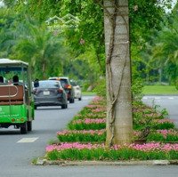 Ecopark. Cho Thuê Mặt Bằng 175M2 Kđt Ecopark Làm Văn Phòng, Hội Trường Phòng Tập, Giá 20 Triệu/Tháng