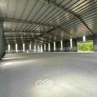 Cho Thuê Kho 5000M2 Đầy Đủ Tiện Nghi Tại Cái Bè - Tiền Giang