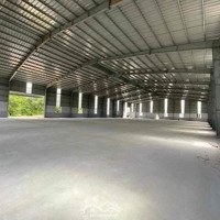 Cho Thuê Kho 5000M2 Đầy Đủ Tiện Nghi Tại Cái Bè - Tiền Giang