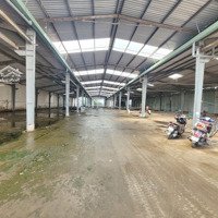 Cho Thuê Kho Xưởng 1000M-10.000M2 Khu Vực Q7 , Nhà Bè