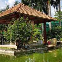 Cần Bán Căn Nhà Vườn Giá Rẻ Ngay Cửa Ngõ Sân Bay Quốc Tế Long Thành Đồng Nai Rẻ Hơn 30% Thị Trường