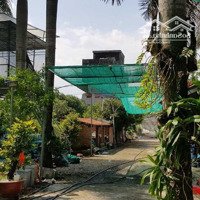 Cần Bán Căn Nhà Vườn Giá Rẻ Ngay Cửa Ngõ Sân Bay Quốc Tế Long Thành Đồng Nai Rẻ Hơn 30% Thị Trường