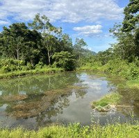 Giá Rẻ Cho Lô Đất Homestay Nghỉ Dưỡng Resort Bám Suối Tự Nhiên Mà Đường Bê Tông Gần Thị Trấn Đà Bắc