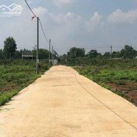 Đất Thị Xã Bình Long 290 Triệu 200M2. Dân Đông Sổ Công Ngay Trong Ngày