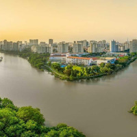 Cho Thuê Nhanh Căn Hộ Riverpark Residence Phú Mỹ Hưng Quận 7