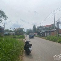 Bán Thửa Đất Tại Hẻm Quốc Lộ 51 Long Thành Đồng Nai