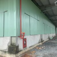 Cho thuê kho xưởng 1350m2  có cẩu trục 10 tấn gần Hố Nai 3, Trảng Bom