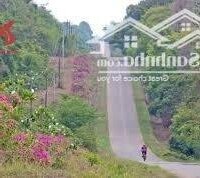 ️ Bán gấp 4.4 hecta gần nhà thờ Phú Lý,Vĩnh Cửu,Đồng Nai 380tr/sào 