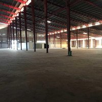 Cho Thuê Kho Xưởng Huyện Tân An, Dt: 40.000M2, Giá: 45K/M2, Long An