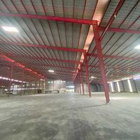 Cho Thuê Kho Xưởng Huyện Tân An, Dt: 40.000M2, Giá: 45K/M2, Long An