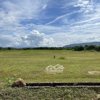 Kẹt Tiền Bán Rẻ Đất Trang Trại Phước Tiến Chỉ 36.000 Nghìn/M2