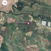 Kẹt Tiền Bán Rẻ Đất Trang Trại Phước Tiến Chỉ 36.000 Nghìn/M2