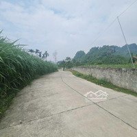 Chuyển Nhượng 620M Đất Nhỏ Xinh Tại Lương Sơn_Hoà Bình