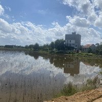 Bán Đất Giá Rẻ Tại Thị Xã Điện Bàn, Tỉnh Quảng Nam