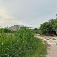 Kẹt Tiền Bán Gấp 8600M2 Đất Vườn, Ngay Thị Trấn Châu Thành, Tây Ninh, Giá Bán 1,45 Tỷ