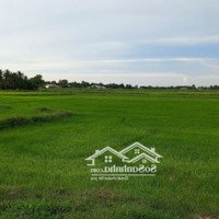 Kẹt Tiền Bán Gấp 8600M2 Đất Vườn, Ngay Thị Trấn Châu Thành, Tây Ninh, Giá Bán 1,45 Tỷ