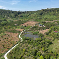 Chính Chủ Bán Lại 1000M2 Vườn Trái Cây View Sông Đồng Nai