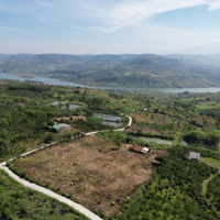 Chính Chủ Bán Lại 1000M2 Vườn Trái Cây View Sông Đồng Nai