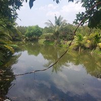 Bán 12000M2 Đất Vườn Nghỉ Dưỡng Xã Sông Thao, Trảng Bom, Đồng Nai Giá Siêu Rẻ 5 Tỷ.