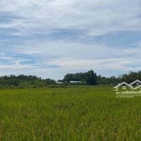 Bán Đất Sổ Xây Dựng Gần Ql20 Huyện Thống Nhất, Đồng Nai